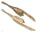 Spoon engraved in reindeer antler, Magdalenian c.&nbsp;17,000&nbsp;– c.&nbsp;12,000 BCE