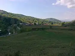 Curița