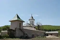 Mareș Băjescu court in Băjești