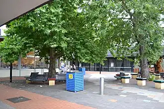 Curtin local shops