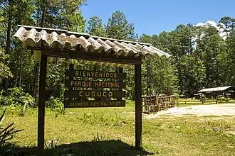 Cusuco national Park