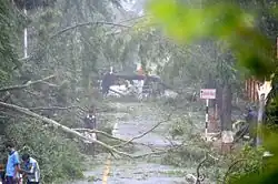 A street in Visakhapatnam cluttered by fallen trees, branches, and debris