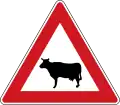 I-13: Domesticated animals