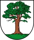 Coat of arms of Berga
