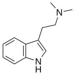 N,N-Dimethyltryptamine (DMT) a powerful psychedelic compound which is present in several plant species found across the globe, commonly found in Mimosa and Acacia species but has also been discovered in grasses such as Philaris Aquatica.