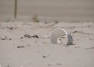 Juvenile using an artificial shelter