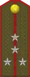 Captain