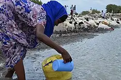 Woman collecting water in Kenya.