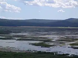 Mormon Lake