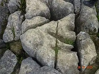 Close-up of the limestone pavement