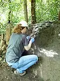 Ivy leaf decoration for mud sofa