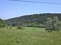 Dadia forest