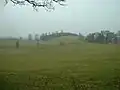Dalton Park fields