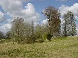 Trees within Danebury