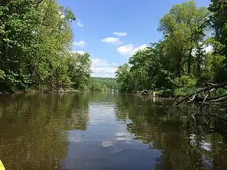 Cove