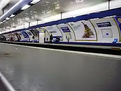 Line 8 platforms at Daumesnil