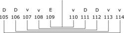składka l