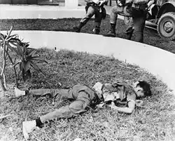 Vietcong sapper lies dead in a planter in the grounds of the U.S. Embassy, Saigon on 31 January 1968