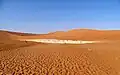 Deadvlei early in the morning before most visitors arrive