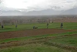 U.S. Army soldiers help a provincial mentorship team look for weapons caches near Baraki Barak in the Logar province of Afghanistan in 2009