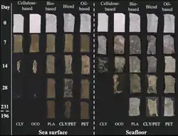 A chart showing the visual degradation of PLA and PET films over time when exposed to seawater at the sea surface and seafloor. For both PLA and PET, and at the sea surface and seafloor, both polymers degrade minimally over the course of 200 days.