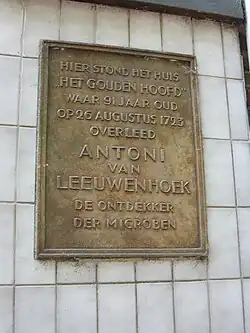 Het Gouden Hoofd (Hippolytusbuurt 1–3, Delft)[80]