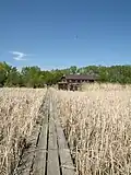 Delta Marsh Field Station