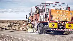 Horizontal signalling in Chubut