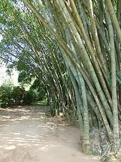 ""