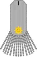 Army uniform (1801–1822)