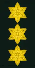 Service shirt slip-on (1969–1983)