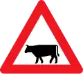 A27: Domestic animals