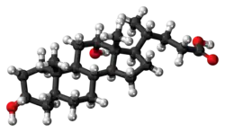 Ball-and-stick model of deoxycholic acid
