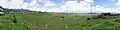 Desa Dairy Farm in the valley.