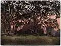 This photograph, discolored by age, shows a large rambling house surrounded by trees.