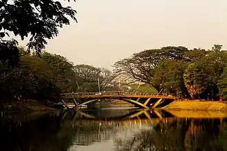 No. 8 Bridge