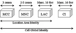 Diagram of Cell Global Identity