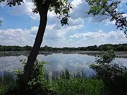 A placid lake reflects the clouds in the blue sky above it. A dark tree crosses the foreground.
