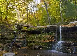 A wooden bridge crossing a stream just above a small waterfall, in a forest with many trees in autumn color