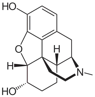 Chemical structure of Dihydromorphine 2D structure.