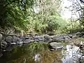 The waters