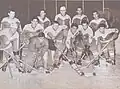 Dinamo squad in 1964 (with Ion Țiriac back row, center)