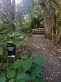 Dingle Dell Walk