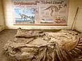 Dinosaur Provincial Park