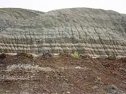 Well-stratified and fully exposed sedimentary formations in Dinosaur Provincial Park, Alberta, Canada) extend over large areas exposing eons of rock history through numerous wind and water exposed strata layers