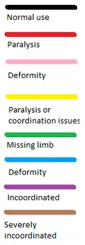 Colour guide for understanding fully body diagrams