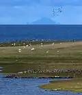 Boreray from North Uist.