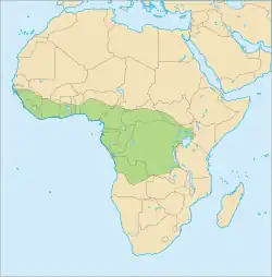 Map showing the range of a host for I.&nbsp;sanghae, the tree pangolin
