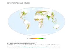 Distribution of cropland area, 2020.