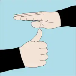 Ascend to stop: Thumb-up ascent signal below a flat hand, palm down.[41]